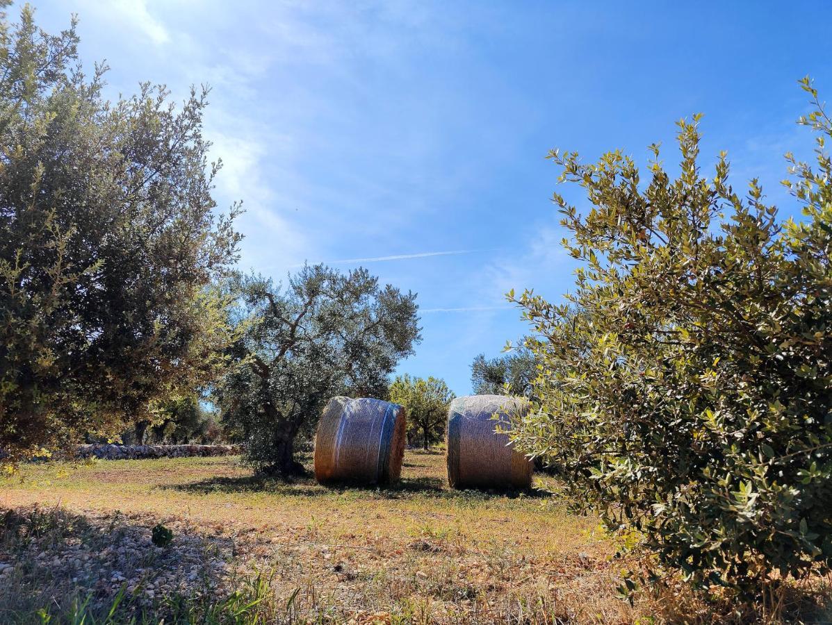 Volta - Il Trullo *